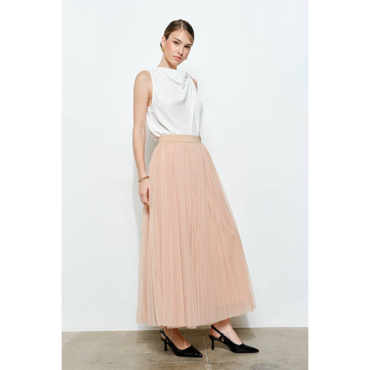 Chic Mesh Sheer Pleated Tulle Maxi Skirt