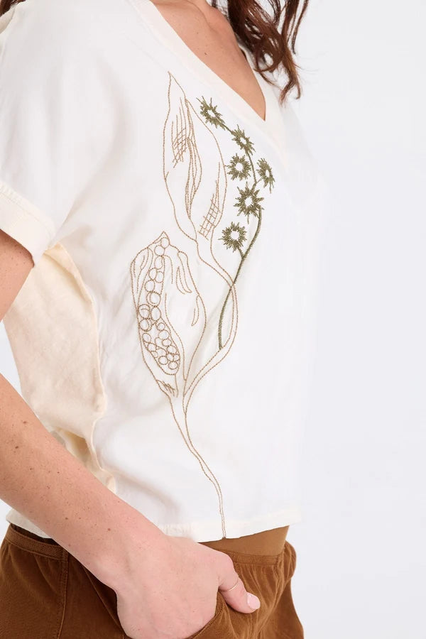 Seedling Hanno Top