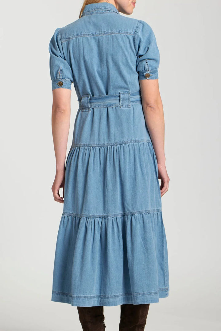 Denim Daydreams Dress