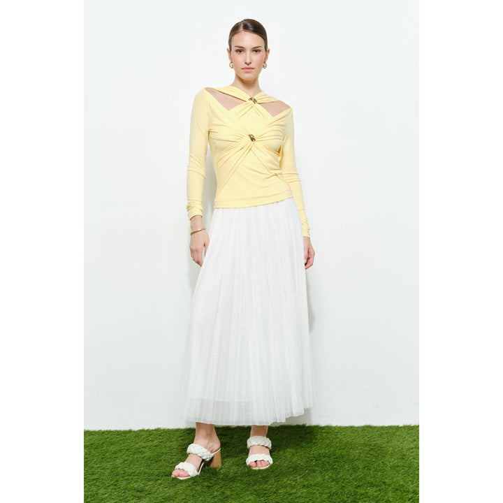 Chic Mesh Sheer Pleated Tulle Maxi Skirt