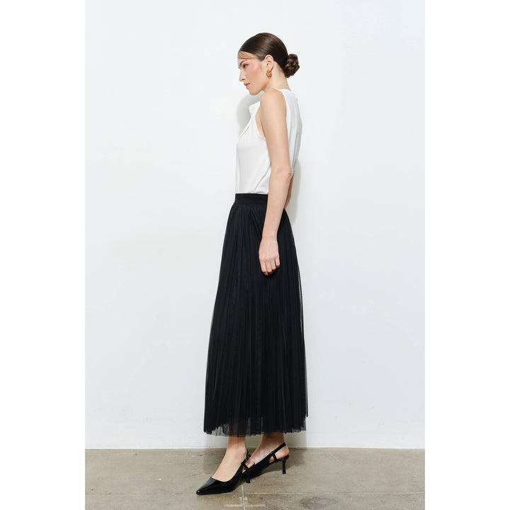 Chic Mesh Sheer Pleated Tulle Maxi Skirt