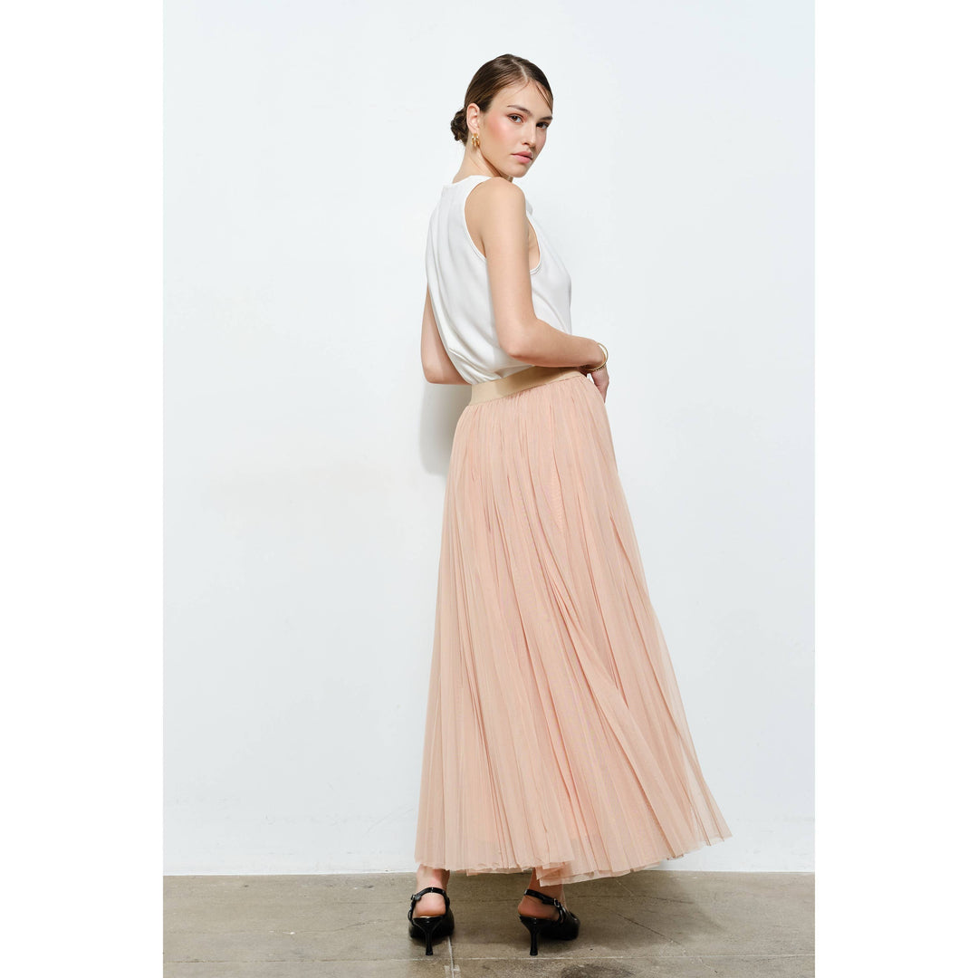 Chic Mesh Sheer Pleated Tulle Maxi Skirt