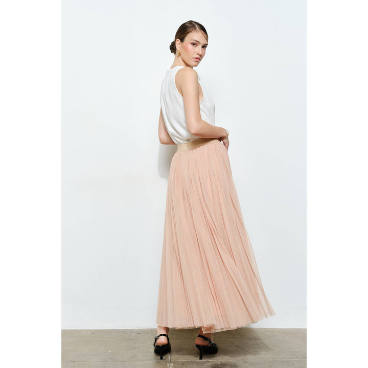 Chic Mesh Sheer Pleated Tulle Maxi Skirt