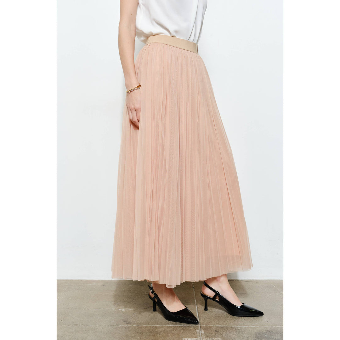 Chic Mesh Sheer Pleated Tulle Maxi Skirt