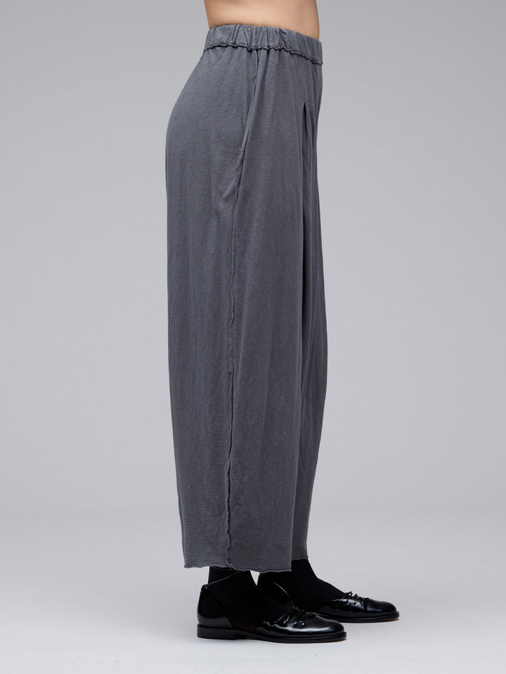 Pleat Pants