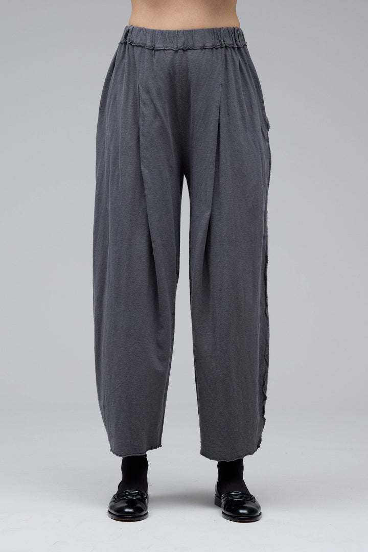 Pleat Pants