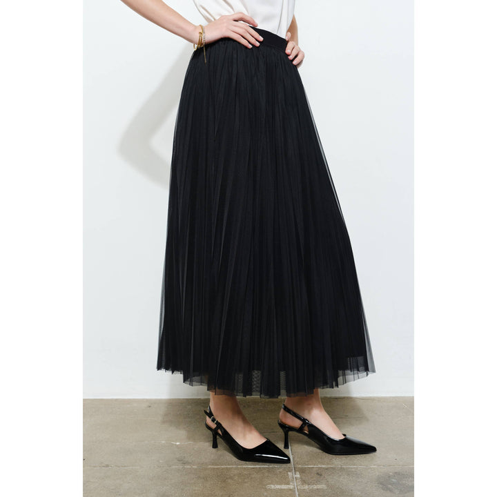 Chic Mesh Sheer Pleated Tulle Maxi Skirt
