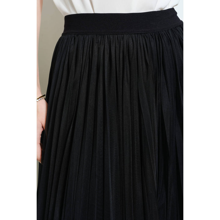 Chic Mesh Sheer Pleated Tulle Maxi Skirt