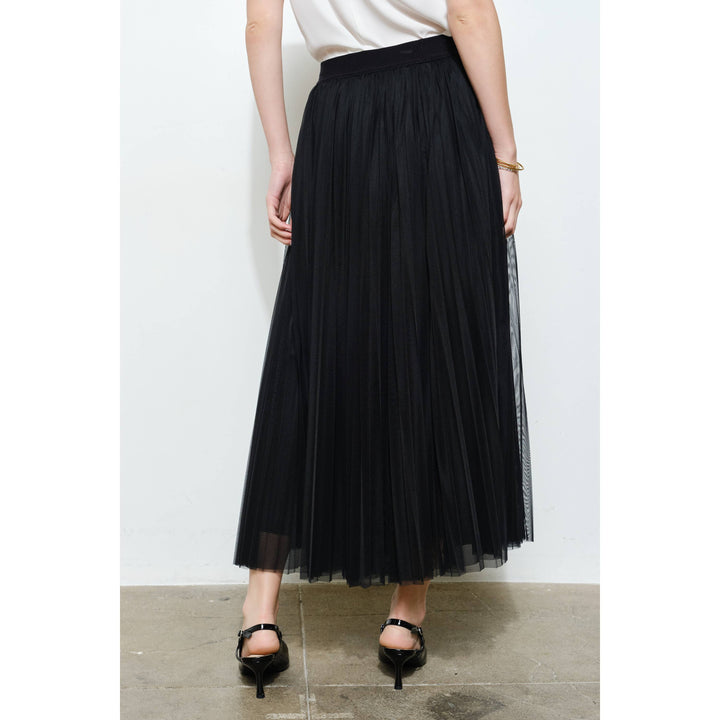 Chic Mesh Sheer Pleated Tulle Maxi Skirt