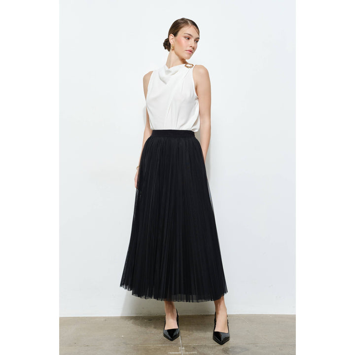 Chic Mesh Sheer Pleated Tulle Maxi Skirt