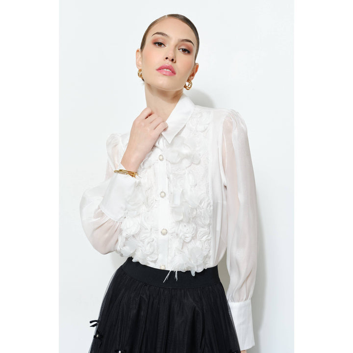 Elegant 3D Floral Organza Long Sleeve Blouse