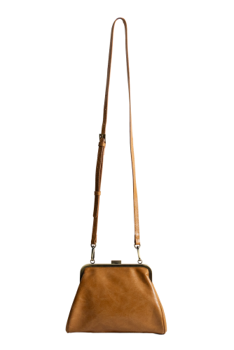Elsa Small Frame Crossbody Bag