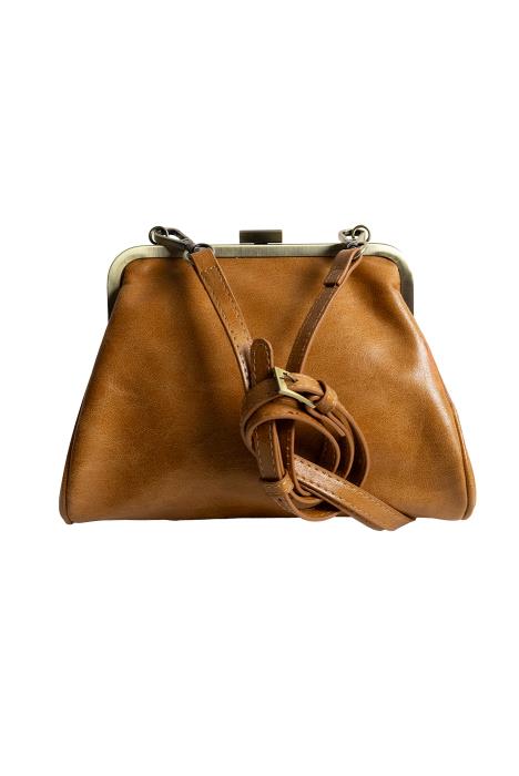 Elsa Small Frame Crossbody Bag