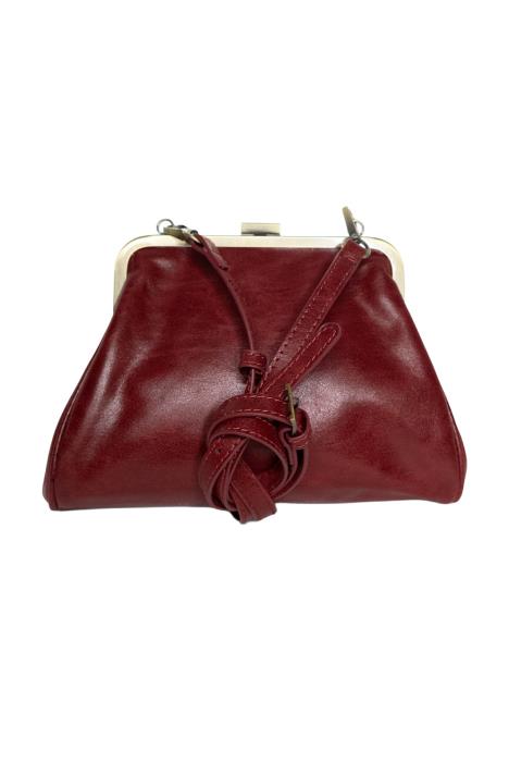 Elsa Small Frame Crossbody Bag
